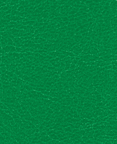 allegro_vert