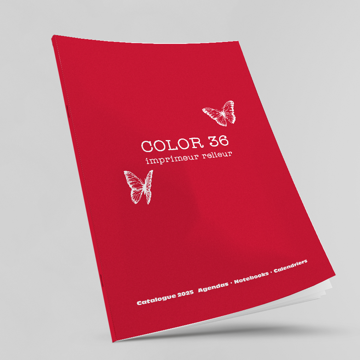 Catalogue Agenda & calendrier 2025 de COLOR 36